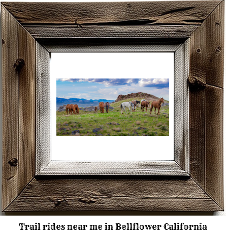 trail rides near me in Bellflower, California